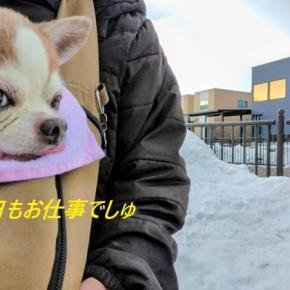 クリスマスがやって来た♪＆病気でも元気でいて欲しいから・・・。