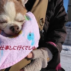 2025年、有難うございました。