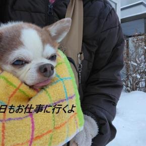 お空の神様も、トニーに厳しい！