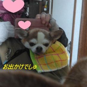 具合が悪かった日