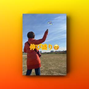 初・年末凧揚げ大会と24＋1作品