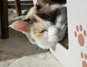 12月のホームで消えた人。