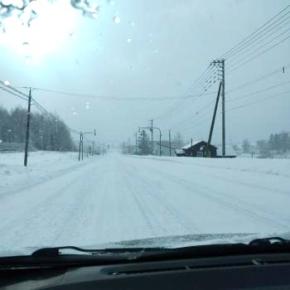 今年の振り返り。
