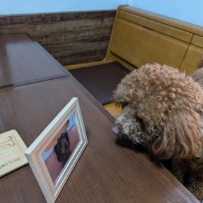 週末にぃにぃ U^ｪ^U