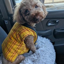 今年もお世話になりました