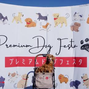 2025年12月28日 「プレミアムドッグフェスタ in フェスティバルウォーク蘇我」（千葉県千葉市中央区）