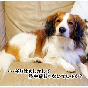 血統コントロールの強い味方