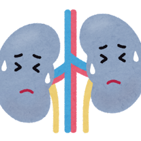 腎保護の薬 について深掘りします。