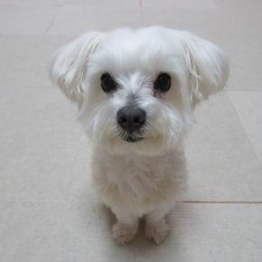 トリミング☆130回目