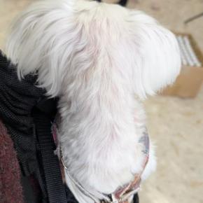 あしあと祭～♪