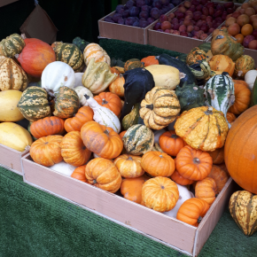 SM H.E.L.P. 2022年10月サミット（その2・エイブリーさん）親子の緘黙