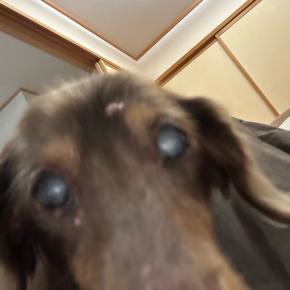 朝昼晩、触られまくるおしり。