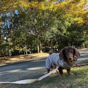 時短家電に負けたママ。