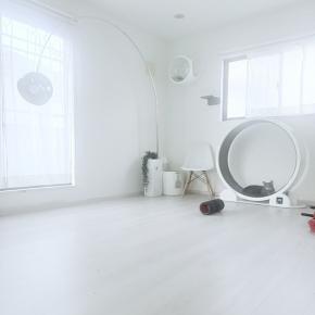 片づけのプロほど自分の「正解」を疑ったほうがいい