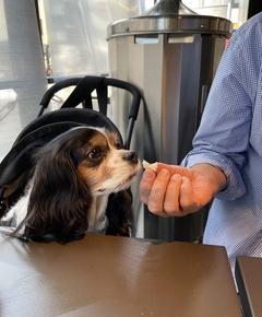 成城石井のパン、食べ放題!!