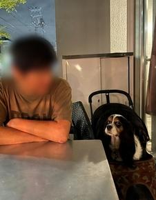 テラスの季節も終わりです