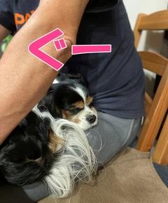 もうすぐ12歳に、いつもと同じ冬がやって来た