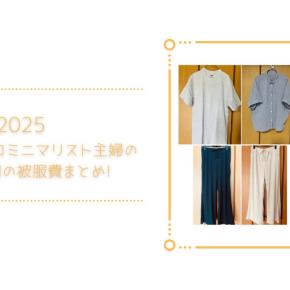 おしゃれ度ゼロミニマリストの今年1年間の被服費まとめ【2025】