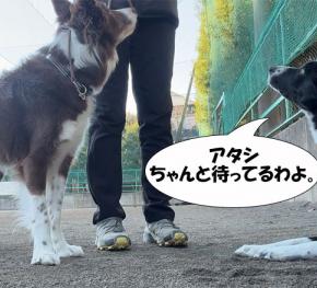 やっぱり痛いかも。