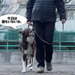 折れてはいませんでした。