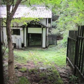 勉強、勉強、勉強