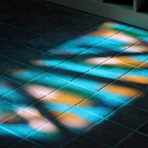 2120. 小学校最後の運動会