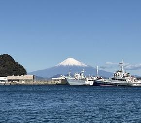 静岡から富士山の景色をお届け。