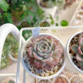 おひとり様キロク 9*