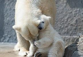 なんで意地悪をするの？