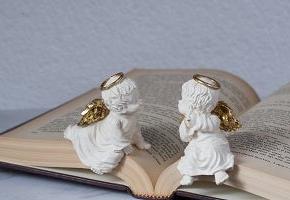 メリークリスマス！あなたに幸せが来ますように