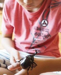 トラウマと愛情飢餓