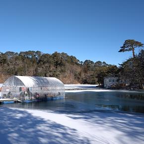 松原湖2026.01.04（撮影は昨日）