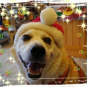 ”メリクリ＜追記あり～＞”