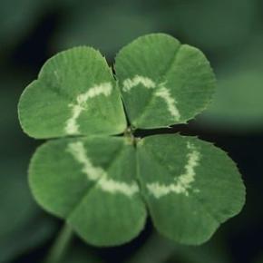 ”新年はLYSTAで！うーちゃんととうふちゃん”