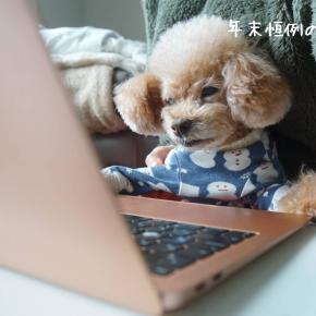 毎年同じことを繰り返す年賀状問題