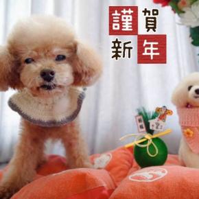 2026年もよろしくお願いします