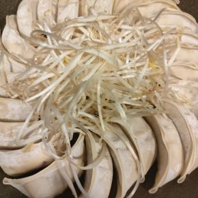 餃子の王将（餃子：三宮東店）～旨1340～