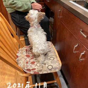 南カリフォルニアへ