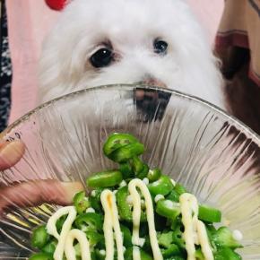 のっこ とりあえずなんでも食べてみたい