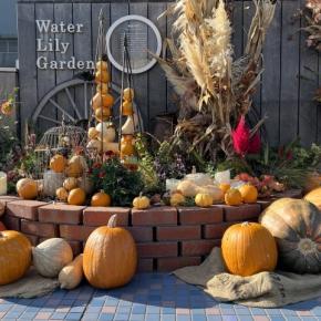 10月もありがとうございました＆人気記事ベスト5