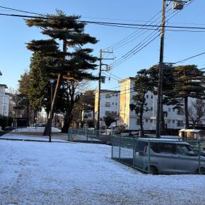 雪が降ったあとの団地、京成バラ園、