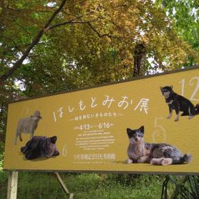 充実したお休み。