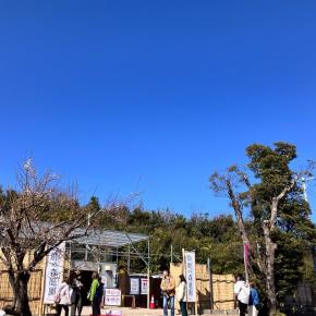 三重 鈴鹿の森庭園といなべ農業公園の梅ツァー