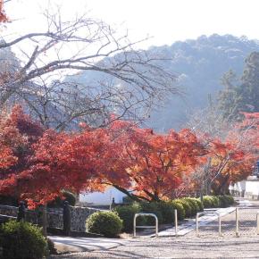日本遺産の町 紅葉
