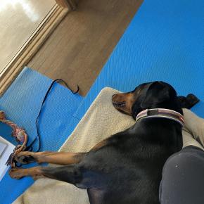 ついに愛想を尽かされた