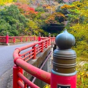 井原市芳井町の天神峡へ紅葉狩り＆舞鶴楼のランチ