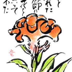 腐ったトマトを買った時