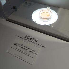 【生きている！？心筋シート・大阪ヘルスケアパビリオン編】2025.05.16大阪・関西万博