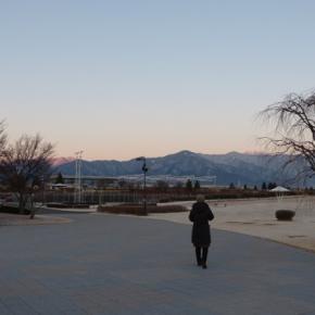 2025アルウィン詣