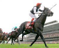 凱旋門賞【2015年】｜トレヴ3連覇ならず・・・2015年動画まとめ